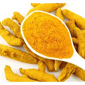Factory Selling Indian Spices Raw Dried Turmeric Good Flavor Yellow Haldi Powder at Affordable Price Pure from Sangli India