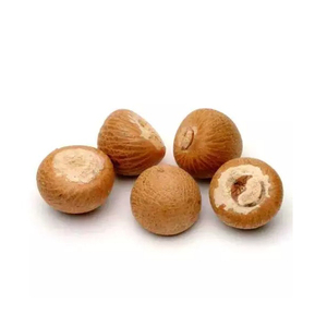 Nueces de Betel Secas Jóvenes 100% Naturales, Cultivo Sin OMG, Procesamiento Holandés, Grado Superior, Origen Reino Unido, Uso Alimentario - Product Image 1