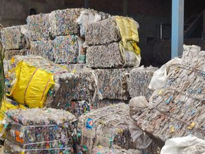 Matière première plastique recyclable PET naturelle, provenant de bouteilles usagées, nettoyée et lavée, pour feuilles de fibres, prix usine, vente chaude, prix économique - Product Image 3