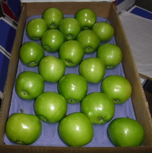Pommes vertes fraîches biologiques de qualité supérieure Fuji Granny Smith pour l'exportation, approvisionnement direct mondial, boîtes avec marquage - Product Image 3