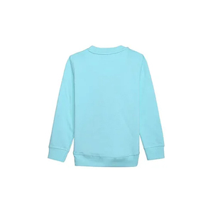 Sweat-shirt pour femmes le plus populaire, anti-rides, très demandé, meilleur prix abordable, prix bas, faible MOQ, meilleur prix pour sweat-shirt pour femmes - Product Image 6