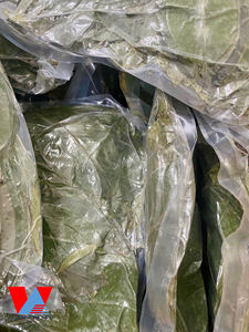 MEJOR PRECIO HOJA DE GUANÁBANA SECADA/ HOJAS DE GRAVIOLA DE VIETNAM / Sra. Lima - Product Image 6