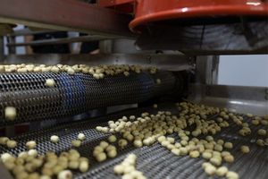 Hạt sen đóng hộp sẵn sàng để ăn trong xi-rô từ Việt Nam một thành phần bổ dưỡng và ngọt ngào để tăng cường bất kỳ món tráng miệng hoặc đồ ăn nhẹ - Product Image 4