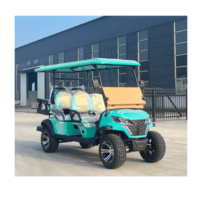Carrito de Golf Premium de 2 y 4 Plazas para Viajes, Conducción Suave en Carretera - Product Image 1