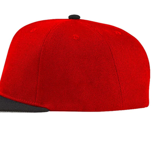 Taux raisonnable Hommes Snap Back Caps dernière mode de haute qualité anti-rides top tendance avec le meilleur design Hommes Snap Back Caps - Product Image 6