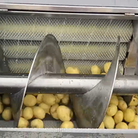 Machine de lavage et de pelage de fruits et légumes commerciale à haute efficacité, en acier inoxydable 304, capacité de 750 kg, pour le nettoyage des légumes