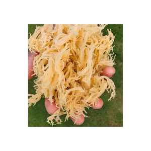 อาหารทะเลแห้งเป็นกลุ่มที่อุดมไปด้วยไอโอดีนและอาหารมังสวิรัติ - Product Image 4