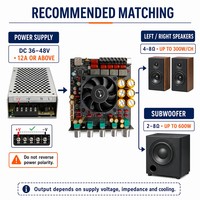 Placa Amplificadora Digital de 2.1 Canales TPA3255 300W X 2 + Módulo de Audio de 600W 5.1 para Cine en Casa