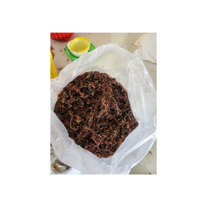 Algue Cottonii vietnamienne naturelle riche en minéraux et nutriments essentiels, parfaite pour la production de carraghénane et l'utilisation culinaire - Product Image 1