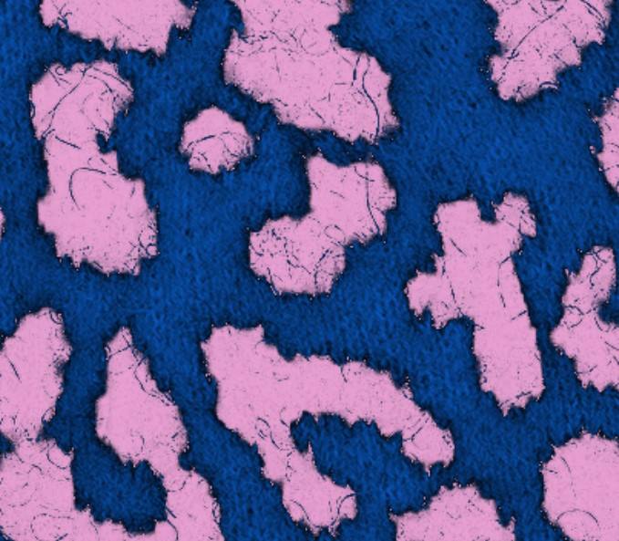 ลายเสือดาว: น้ำเงินเข้ม &amp; ชมพูอ่อน