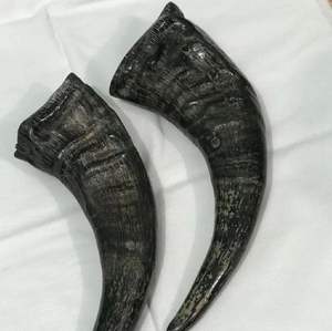 Cuerno blanco Assames - Product Image 1