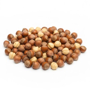 Vente en gros de noisettes crues de première qualité grillées blanchies ou en coque disponibles dès maintenant avec expédition rapide et bas quantité minimale de commande - Product Image 2