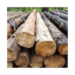 ฟืนคุณภาพสูงสำหรับผู้ซื้อขายส่ง - Product Image 3