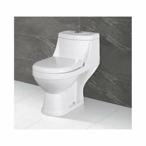 Siège de toilette occidental monobloc en céramique premium pour salle de bain - Product Image 1