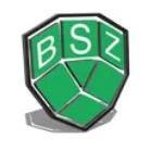 Erbschloe BSZ GmbH logo