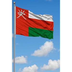 Custom World <b>Flag</b> 3x5ft with Digital Printing Aluminum <b>Pole</b> & Silk Material-<b>for</b> Automotive Insurance Education & Travel Agency - Product Image 3