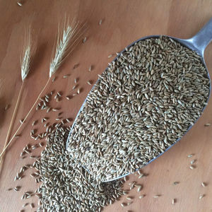 Australian Organic <b>Rye</b> Grain for Sale - Product Image 1