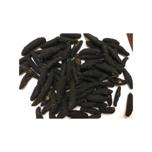 Pepino de Mar Seco al por Mayor en Venta, Pepino de Mar Seco a un Precio Accesible - Product Image 6