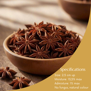 Anís Estrellado Seco Natural _ Suministro al por Mayor para Fabricantes de Alimentos e Importadores - Product Image 3