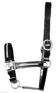 Nuevo Full Black Heavy Duty Leather Bling Crystal SHOW Halter Premium Product Genre - Product Image 5
