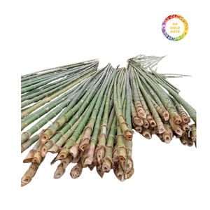 Postes de bambú duraderos, atractivos, respetuosos con el medio ambiente, resistentes a la humedad, ideales para construcción y manualidades - Product Image 1