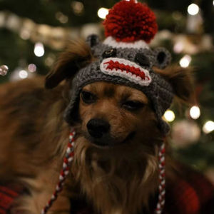 Venta al por mayor directa de fábrica: Gorro de ganchillo gris para mascotas, hecho a mano, para perros y gatos, uso diario, para deportes y pesca, estilo de personaje. - Product Image 5
