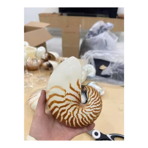 Nautilus Shell hecho a mano por artesanos vietnamitas para decoración de interiores de lujo y uso de coleccionistas - Product Image 3