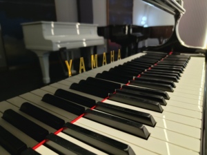 Top Grade Second Hand Yamahas CF grand Piano Excellent Condition Fast Delivery Original Elegant Finish Smooth Keys 3530300 - Product Image 2