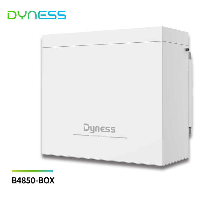 Eu Stock Dyness B4850-Box 48v 100ah 4.8kwh Lifepo4 Battery