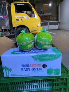 Coco Fresco Premium de Ben Tre, con Cáscara Entera, Forma de Diamante, Piel Verde, Fácil de Abrir, 70-90 Días de Vida Útil, TECHMIFOOD - Product Image 5