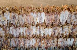 ปลาหมึกแห้งธรรมชาติ/ปลากระเบนแห้ง - Product Image 4