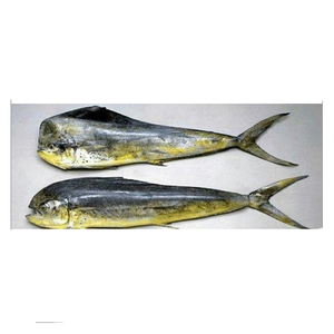 Pescado Mahi Premium Fresh Disponible a Granel Ideal para Mayoristas y Distribuidores de Mariscos - Product Image 5