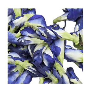 Fleurs de pois papillon standard d'exportation sans produits chimiques, naturellement bleues - Product Image 2