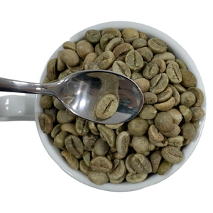 Café Arábica de Vietnam en Oferta, Procesado con Miel, 100% Puro, Orgánico, Sabor Fuerte y Intenso, NT COFFEE, Bolsas de 1 kg, Precio al por Mayor - Product Image 4