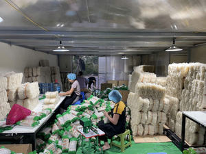 ข้าว 85% น้ำสะอาด 15% ผลิตภัณฑ์คุณภาพพรีเมียม ผลิตเส้นหมี่สด บรรจุภัณฑ์แบบถุง 400 กรัม เส้นหมี่แห้ง สำหรับส่งออก - Product Image 4