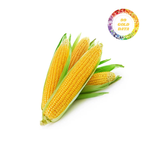 Produits phares Maïs en grains biologiques surgelés Technologie IQF Légumes biologiques surgelés - Product Image 2