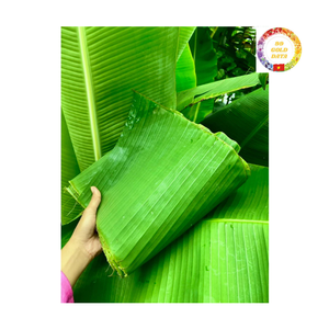 Feuilles de bananier vertes congelées du Vietnam, produit naturel, feuilles de bananier vertes fraîches de haute qualité, vente en gros pour l'emballage alimentaire - Product Image 3