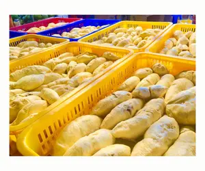 Durian congelado BQF e IQF Vietnã para vendas por atacado/frutas Durian Congeladas
