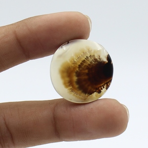 25,00 quilates Shazar dendrita ágata cabujón corte redondo Natural 25X25X5MM para la fabricación de joyas - Product Image 2