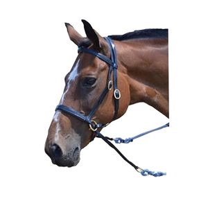 Licol pour cheval en PVC avec bride, double bride pour cheval de course, disponible en gros - Product Image 2