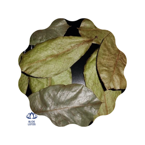 Daun Sirsak Kering