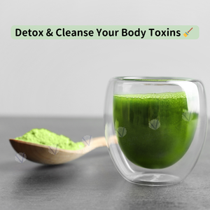 Bột cà phê hòa tan được thiết kế riêng giải độc cơ thể và cải thiện năng lượng da được đóng gói trong một túi để tăng cường tiêu hóa - Product Image 4