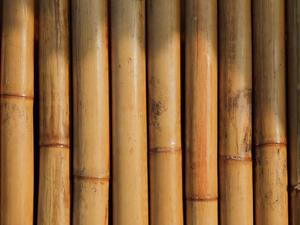 Tendencia Popular 2025: Postes y Estacas de Bambú Ecológicos y Modernos para Soporte de Plantas de Jardín por Eco2go Vietnam - Product Image 6