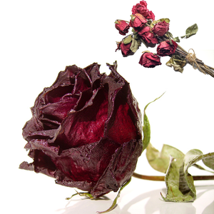 Fleur Rose Rouge Naturelle | Pétales Botaniques Séchés pour Usage Cosmétique - Product Image 2