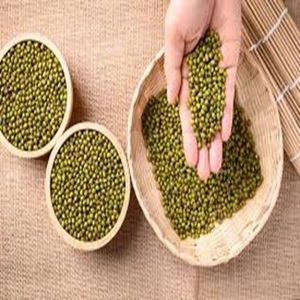 ถั่วเขียวสีเขียวมีความต้องการสูงสามารถส่งออกได้ในราคาถูก - Product Image 3