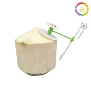 Natural dulce fresco joven Coco Vietnam exportación diamante forma pulida superficie 0,7-1,2 kg para proveedor mayorista - Product Image 6