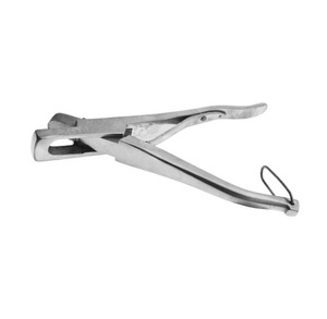 Oveja de cordero veterinaria - Product Image 1