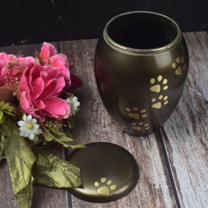 Recuerdo de urna de color verde en miniatura con huellas doradas-Pet Human Ashes Cremains Memorial de AYAANS - Product Image 1