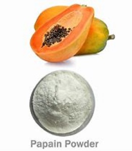 Poudre d'extrait de feuille de papaye 100% pure et biologique, extrait végétal de papita patta d'Inde, qualité assurée en bouteille ou en pot en verre - Product Image 5