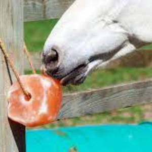 Aliment pour animaux de la meilleure qualité, enrichi en éléments minéraux pour les chevaux, les bovins, les chiens, sel de l'Himalaya 100% naturel avec corde - Product Image 1